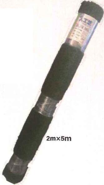 �ꥢ��͹��� ���󥻥� 2m��5m �������� 4573459624258��121-243��