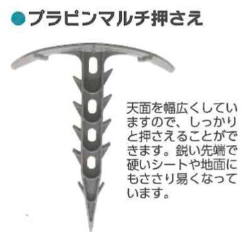 プラピンマルチ押さえ 100P 10セット シンセイ ピン杭 被覆資材 畑作資材 農業資材 4582193313243【121-364】