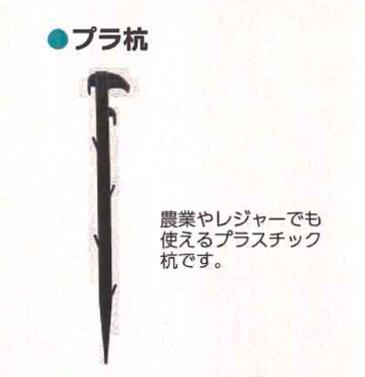 プラ杭 10P 30セット 49cm シンセイ 49cm 杭 畑作資材 農業資材 4582193315124【121-376】