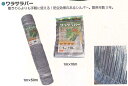 シンセイ 1m×50m 園芸ネット ワラサラバー 2 4582193311805【121-874】