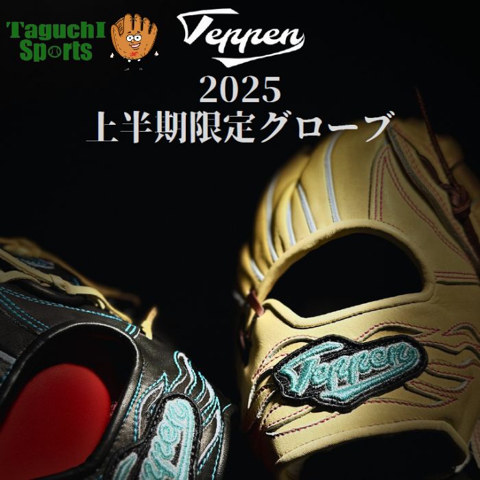 【TEPPEN 硬式オーダーグラブ】TEPPEN てっぺん 2025上半期限定グローブ 硬式オーダーグラブ 硬式オーダーグローブ 2024/11/21〜2025/7/31限定 【代引きでは承れません】日本製