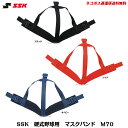 【ネコポス速達便送料無料】SSK...