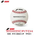 SSK@g[jO{[@eNjJsb`@TECHNICAL PITCH@d@TP001@p