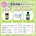 ハイパワーマグマン110g(15%溶液) 中山栄基先生開発 BIE野生植物ミネラルマグマン超濃縮液 2