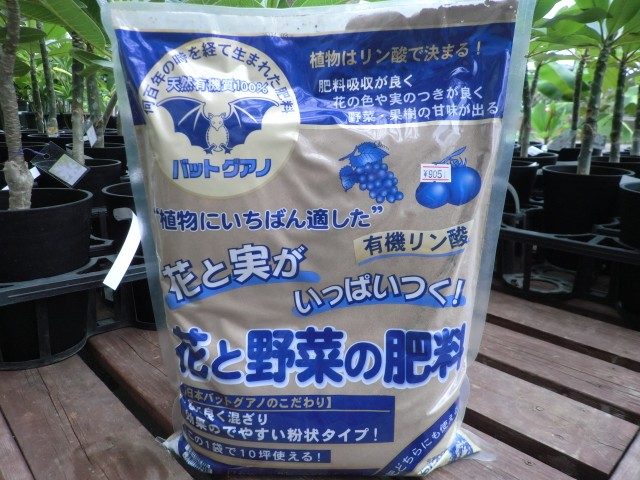 《バットグアノ 5キロ》抜群の花付き！ フィリピン産特殊肥料 リン酸肥料 熱帯植物 観葉植物のサムネイル
