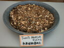 tahiti-marche:10000459のサンプル画像2