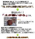 tahiti-marche:10000459のサンプル画像3