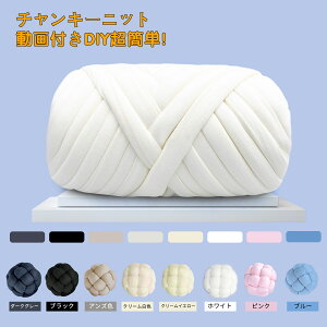 チャンキーニット 1000g ポリエステル ベロア 毛系 春夏 秋冬 兼用 高品質 幅約2.5CM チャンキーニットヤーン ブランケット ニットヤーン ウール 極太毛糸 毛糸 手芸 編み物 太い 極太 チャンキーヤーン バッグ SNS