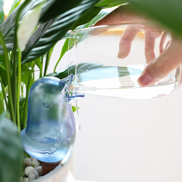 ウォーターディスペンサー 観葉植物 水やり 鉢植え プランター 水差し ガーデニン...