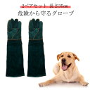噛みつき防止 猫 キャンプ ペットグローブ 噛みつき 犬 爬虫類 グローブ 送料無料 噛みつき防止手袋 手袋 厚手 ペットグローブ 長さ60cm しつけ 躾 グ...