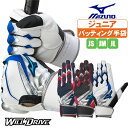 バッティンググローブ ジュニア ミズノ ウィルドライブ コントロールモデル バッティング用手袋 WILLDRIVE BLUE 1ejea245【配送方法メール便のみ】