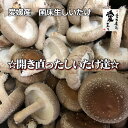 愛媛産　菌床生しいたけ　☆開き直ったしいたけ達☆カサが開いた万能タイプ 1kg【送料無料・北海道沖縄 ...