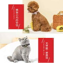 チョーカー アクセサリー ネックレス ジュエリー かわいい おしゃれ リード タグ 首輪 調整可能 犬