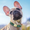 チョーカー アクセサリー ネックレス ジュエリー かわいい おしゃれ リード タグ 首輪 調整可能 犬