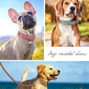 チョーカー アクセサリー ネックレス ジュエリー かわいい おしゃれ リード タグ 首輪 調整可能 犬