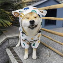 ペットレインコート 専用 ポンチョ 防水 服 雨の日用 おしゃれ 可愛い 4本足 汚れ防止 小型 中型 犬用 クマ