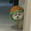 ドッグウェア かわいい 帽子 犬 猫 かぶりもの ファニー コメディ 頭飾り 小道具 ペット用品 ハンバーガー