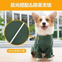 ドッグウェア レインコート 犬 ジャケット 大きいサイズ ペット用品 防水 防風 反射 カジュアル オレンジ グリーン