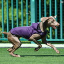 ドッグウェア 犬 アウトドア 反射 中型 ベスト ゴールデンレトリバー おでかけ 撥水 ジャケット スポーツ パープル グリーン レッド
