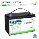 LVYUAN(リョクエン) リン酸鉄 リチウムイオンバッテリー 12v 100ah リチウム電池 1280Whの大容量 LiFePO4電池 バックアップ電源 ソーラー電源 連統放電電流120A 10年間の耐久性 地震 防災 停電対策 サブバッテリー 車中泊