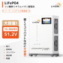 【5年保証】LVYUAN(リョクエン) 51.2V 300Ah 15.36kWh LiFePO4 リン酸鉄リチウムイオンバッテリー 家庭用蓄電池 4000-15...