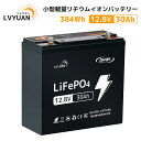 【スーパーSALE限定20%OFF】【Grade-A電池セル-5年保証】LVYUAN(リョクエン)リン酸鉄リチウムイオンバッテリー 12V30Ah 384Wh ...