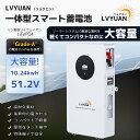 【クーポンで339,998円】LVYUAN(リョクエン)51.2V 200Ah 10.24kWh LiFePO4 リン酸鉄リチウムイオンバッテリー 家庭用蓄電池...