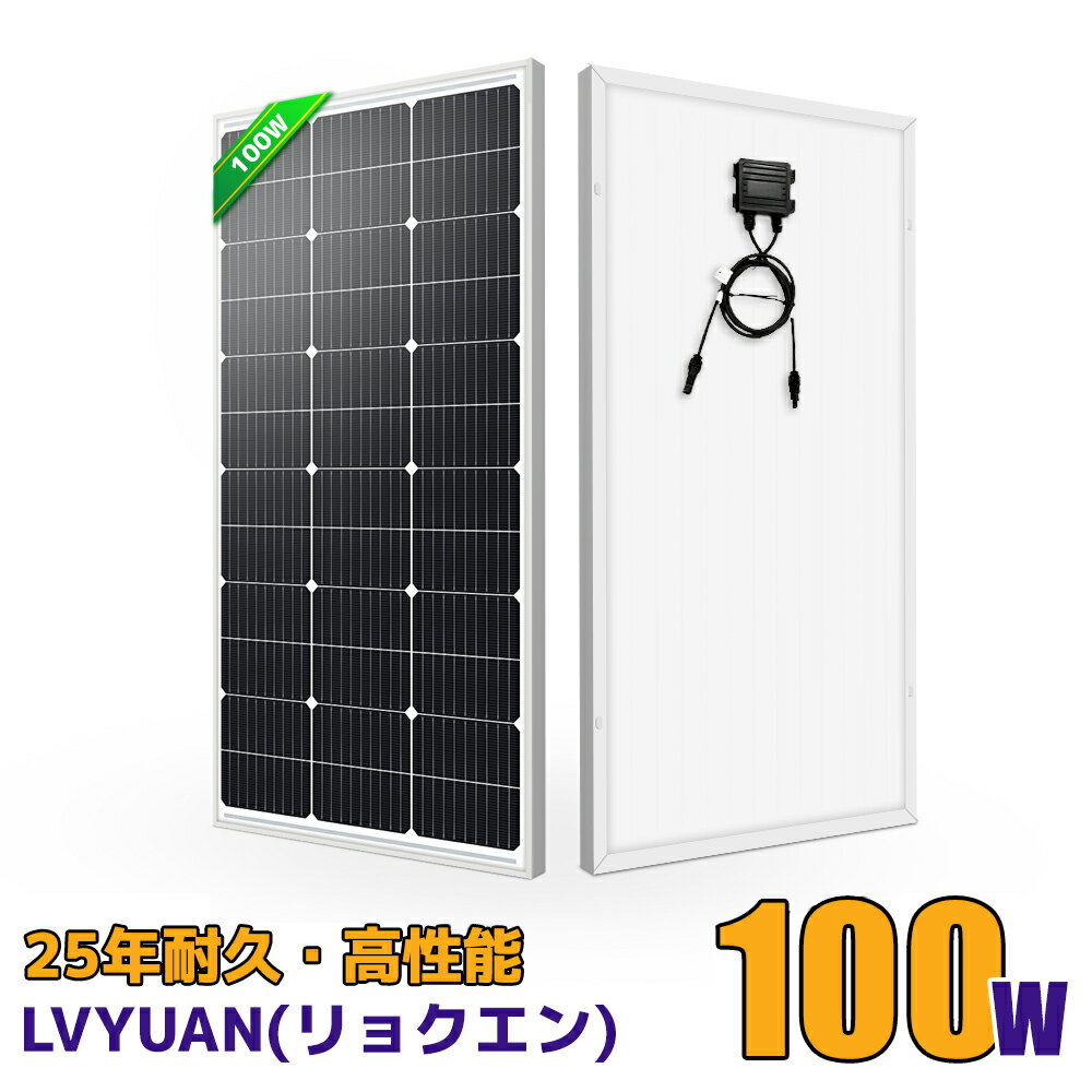 100W ソーラーパネル 太陽光パネル 10