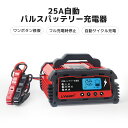 自動パルスバッテリー充電器 定格25A 12V/24V対応 維持充電方式 緊急時 全自動 スマートチャージャー バッテリー診断機能付 AGM/GEL車充電可能 自動車 農機 建設機械 小型船舶など 日本語説明書 サルフェーション除去(脱硫) LVYUAN