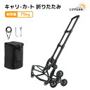 ■ビシャモン 電動式リフト 2TON フートシキ XS201212F(1334739)[送料別途見積り][法人・事業所限定][外直送]