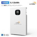 LVYUAN(リョクエン) 51.2V 100AH 5.12kWh LiFePO4（リン酸鉄リチウム）電池 リン酸鉄リチウムイオンバッテリー 家庭用蓄電池 BAT-S48100-LV【日本語施工方法取扱説明書付】【5年保証】