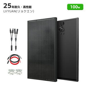 100W 顼ѥͥ ۸ѥͥ 100W ñ뾽顼ѥͥ ۸㡼 ѴΨ21% ĶΨ! ʥͥ륮  ֡٥ ҳк ۸ȯ LVYUAN