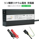 LVYUAN(リョクエン) 14.6V 20A リン酸鉄リチウムイオンバッテリー充電器 LiFePO4専用 バッテリー充電器 【TUV規格品（ドイツ技術検査認証）】全自動 使いやすい 軽量 スマートチャージャー 12V対応 リン酸鉄リチウム電池 スマート保護機能付き 【正規品PSE（菱形）取得済み】