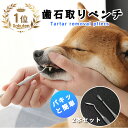 【ゆうパケットOK（メール便）】【セット商品】ペット歯石予防セット（犬口ケア歯ブラシ Small Head＋ピック＆ピック）【お買い得】　犬 ドッグ DOG 歯みがき オーラルケア お手入れ