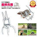 【2点購入で10%割引】モグラ捕獲 モグラ退治 モグラ撃退 モグラ取り モグラトール モグラ捕獲用クリップ もぐら撃退 撲滅に もぐら 退治 もぐらよけ 撃退器
