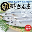 宮城県気仙沼市 産地直送 鮮さんま【お届け時期:9月中旬〜10月】期間限定 さんま 秋刀魚 サンマ Pacific saury 秋の味覚 鮮度抜群 海鮮 魚介 刺身 お刺身 寿司 塩焼き