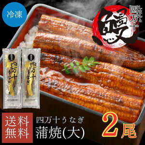 数量限定 四万十うなぎ 大 国産 高知県産 四万十川産 うなぎ ウナギ 蒲焼き 蒲焼 約140g×2尾 御中元 お中元 御中元 プレゼント ギフト 夏ギフト お祝い 贈答用 お取り寄せ お取り寄せグルメ 送料無料 unagi 土用の丑の日 土用の丑 国産鰻 誕生日 冷凍 秘伝のたれ 伝統の味