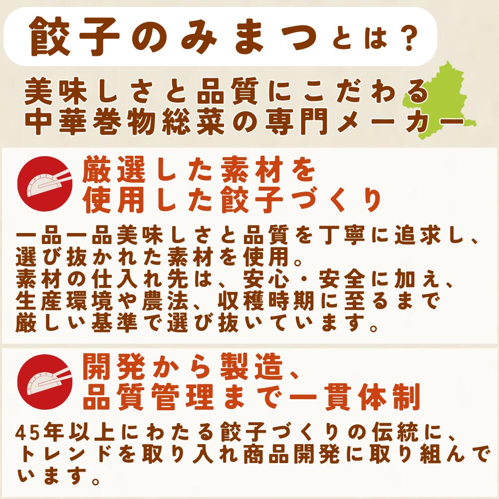 【組み合わせ2種 計8袋セット】群馬県産の食材を使用した餃子 上州麦豚の餃子 群馬県産キャベツの大餃子 群馬県産キャベツの一口餃子 国産野菜 上州麦豚 使用 冷凍餃子 冷凍食品 冷凍惣菜 中華惣菜 点心 中華 中華料理 ギョーザ ギョウザ ぎょうざ 送料無料 3