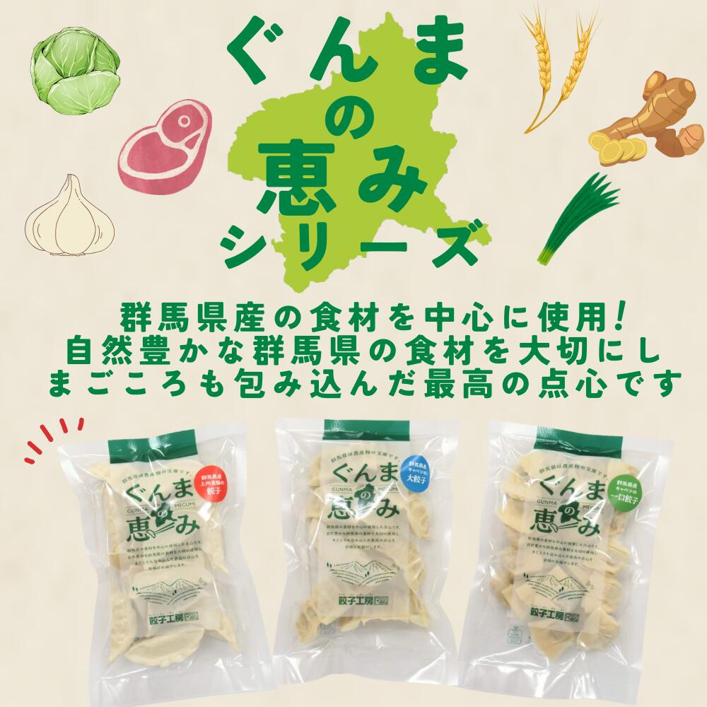 【組み合わせ2種 計8袋セット】群馬県産の食材を使用した餃子 上州麦豚の餃子 群馬県産キャベツの大餃子 群馬県産キャベツの一口餃子 国産野菜 上州麦豚 使用 冷凍餃子 冷凍食品 冷凍惣菜 中華惣菜 点心 中華 中華料理 ギョーザ ギョウザ ぎょうざ 送料無料 2