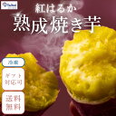 冷凍焼き芋 紅はるか 熟成 蜜焼き芋お得BOX1kg 2kg 茨城県産 産地直送 さつまいも 紅はるか さつま芋 焼き芋 蜜芋 スイーツ 送料無料 国産 まとめ買い 業務用 紅はるかの焼きいも 人気 プレゼント ギフト 大容量 プレゼント 贈り物 贈答 お土産 国産 野菜 やさい サツマイモ(4)