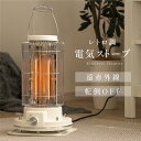 【史上最安値】ヒーター 電気スト