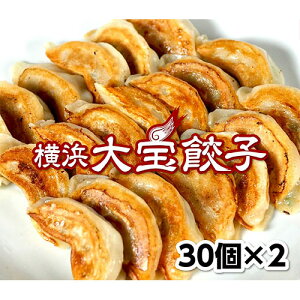 ＼マラソン限定10%OFF／ もちもち国産ジャンボ大宝餃子 30個×2 送料無料 銘柄豚 岩中ポーク使用 大きい もちもち 冷凍餃子 焼餃子 国産 豚肉 野菜 おつまみ パーティー 家飲み 惣菜 中華惣菜 中華 点心 ぎょうざ ギョウザ にんにく 肉汁 お中元