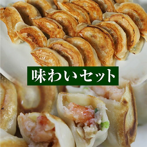 【国産餃子】もちもち大宝餃子30個/もちもち海老餃子20個 送料無料 大きい もちもち 冷凍餃子 国産豚肉 国産野菜 おつまみ パーティー 家飲み 冷凍餃子 鮮度抜群製造 冷凍生餃子 惣菜 中華惣菜 点心 中華 中華点心 グルメ