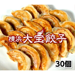 もちもち国産ジャンボ大宝餃子30個 送料無料 銘柄豚岩中 大きい もちもち 冷凍餃子 焼餃子 餃子 国産 豚肉 野菜 おかず おつまみ パーティー 家飲み 鮮度 惣菜 中華惣菜 点心 中華 中華点心 お取り寄せ グルメ ギョウザ ぎょうざ ギョーザ にんにく 肉汁 ギフト