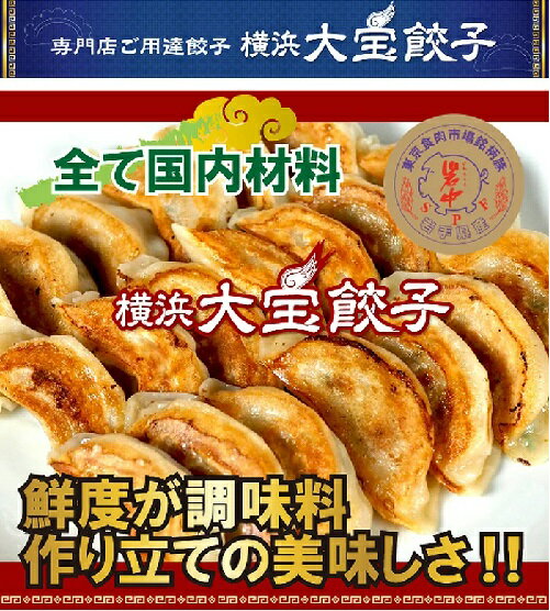 もちもち国産ジャンボ大宝餃子30個 送料無料 銘柄豚岩中 大きい もちもち 冷凍餃子 焼餃子 餃子 豚肉 野菜 おかず おつまみ パーティー 家飲み 鮮度 惣菜 点心 横浜中華 お取り寄せ グルメ ギョウザ ぎょうざ ギョーザ にんにく 肉汁 ギフト すぐ届く 2