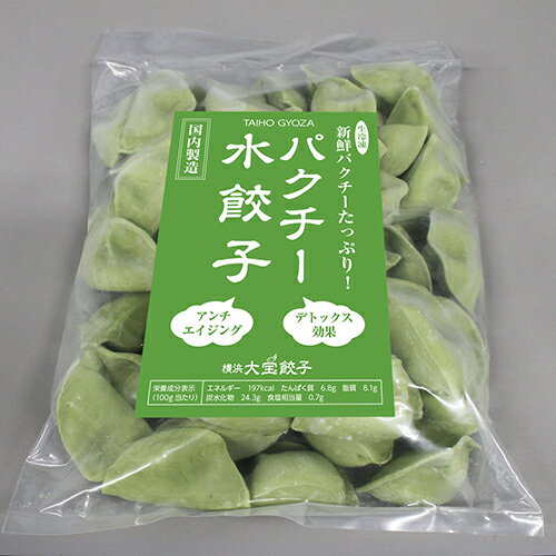 ＼銘柄 岩中ポーク／ もちもち国産パクチー水餃子40個 送料無料 大きい もちもち 冷凍餃子 国産 豚肉 野菜 おつまみ パーティー 家飲み 鮮度抜群製造 冷凍生餃子 惣菜 中華惣菜 点心 中華 お取り寄せ グルメ ギョウザ ぎょうざ 水ぎょうざ