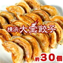 もちもち国産ジャンボ大宝餃子30個 送料無料 銘柄豚岩中 大きい もちもち 冷凍餃子 焼餃子 餃子 豚肉 野菜 おかず おつまみ パーティー 家飲み 鮮度 惣菜...