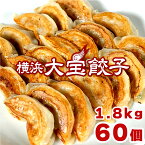 P5倍！【銘柄豚岩中！】＼もちもち国産ジャンボ大宝餃子30個×2／ 全て国産食材 送料無料 横浜中華 焼餃子 豚肉 野菜 おかず おつまみ 惣菜 点心 大きい ぎょうざ ギョウザ 肉汁 にんにく お取り寄せ グルメ ギフト すぐ届く 熨斗 冷凍餃子