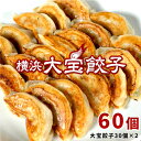 もちもち国産ジャンボ大宝餃子 30個×2 セット 送料無料 銘柄豚 岩中 餃子 