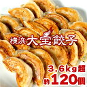 【全て国産材料 たっぷり3.6kg】 \もちもち国産ジャンボ大宝餃子 30個 ×4 /全て 銘柄豚岩中 大きい 冷凍餃子 焼餃子 豚肉 野菜 横浜中華 点心 おつまみ おうちごはん にんにく 肉汁 ぎょうざ ギョーザ お取り寄せ 惣菜 大容量 グルメ お取り寄せ 熨斗